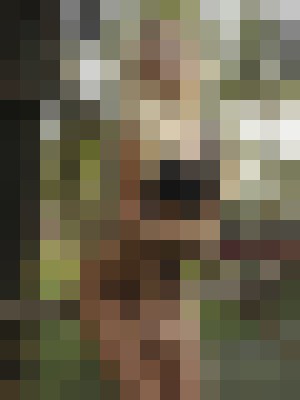Background image - blurred