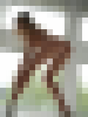 Background image - blurred