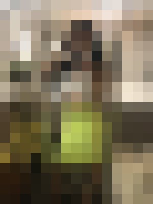 Background image - blurred