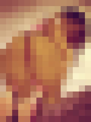 Background image - blurred