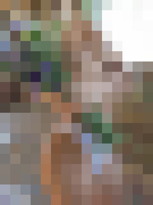Background image - blurred