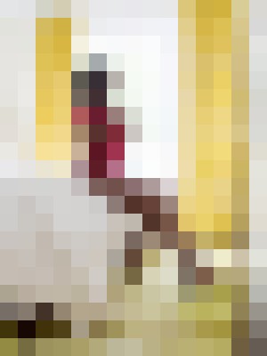 Background image - blurred