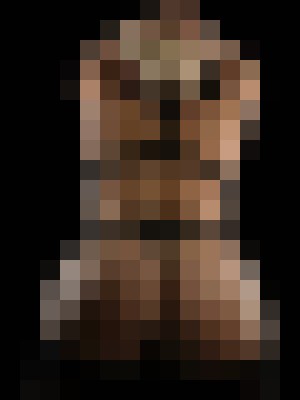 Background image - blurred