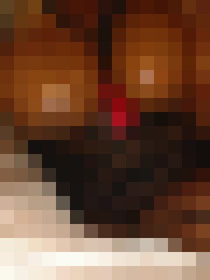 Background image - blurred