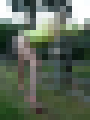 Background image - blurred