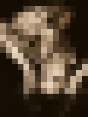 Background image - blurred
