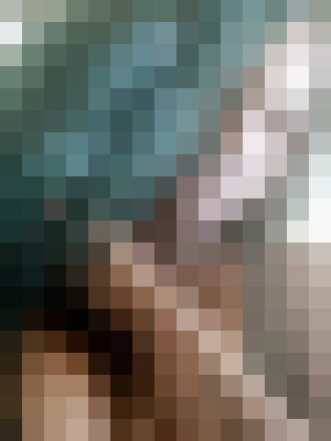 Background image - blurred