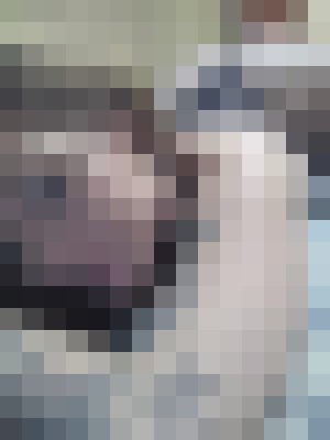 Background image - blurred
