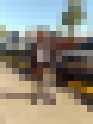 Background image - blurred