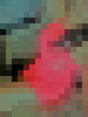 Background image - blurred
