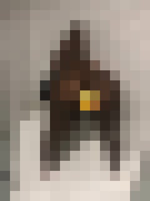 Background image - blurred