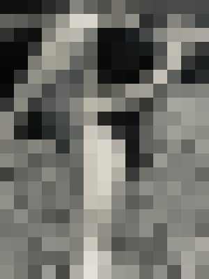 Background image - blurred