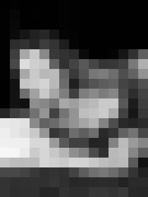 Background image - blurred