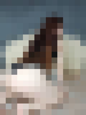 Background image - blurred