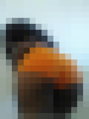 Background image - blurred