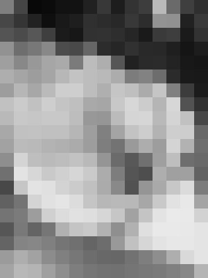 Background image - blurred