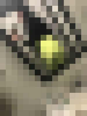 Background image - blurred