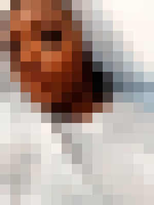 Background image - blurred