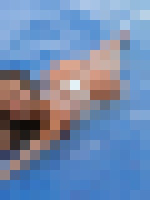 Background image - blurred