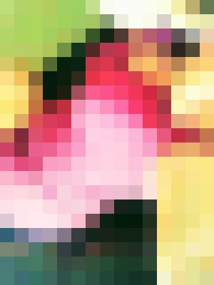 Background image - blurred