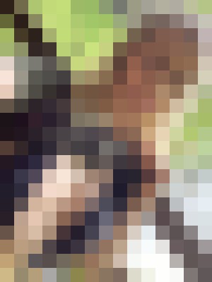 Background image - blurred