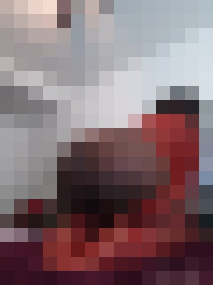 Background image - blurred