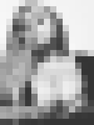 Background image - blurred