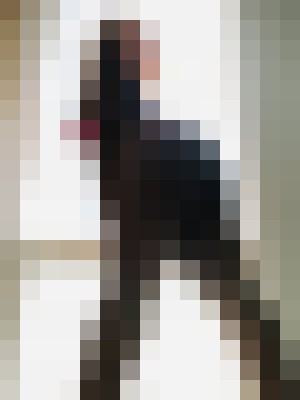Background image - blurred