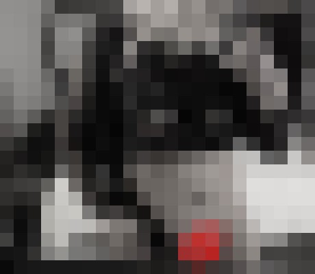 Background image - blurred