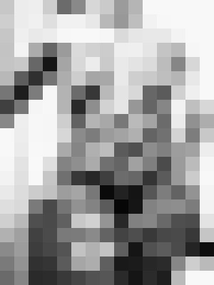 Background image - blurred