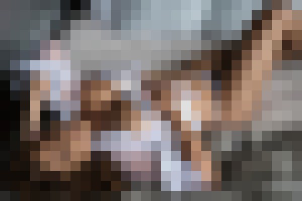 Background image - blurred
