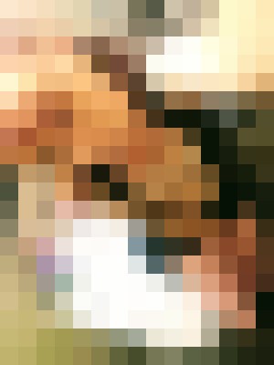 Background image - blurred