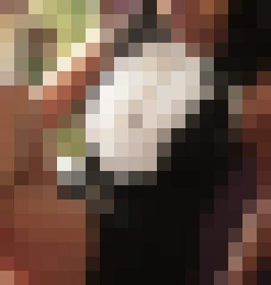 Background image - blurred