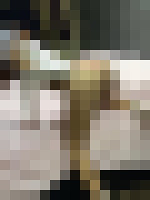 Background image - blurred