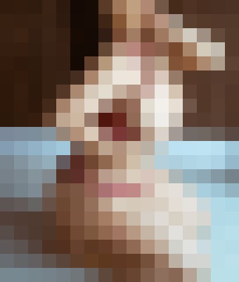 AmiraX London Escort, , Verified Adult Service Provider, Companion in United Kingdom | 2