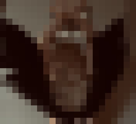Background image - blurred