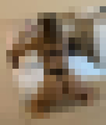 Background image - blurred
