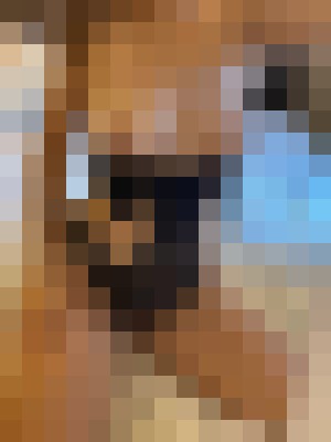 Background image - blurred