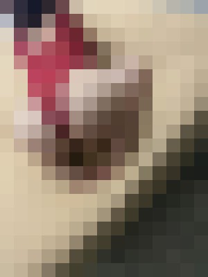Background image - blurred
