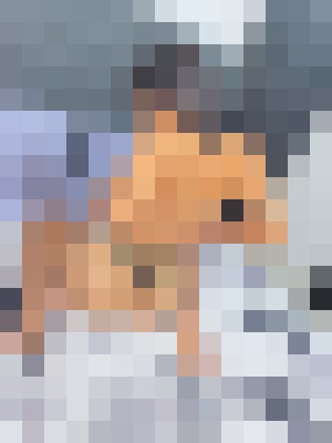 Background image - blurred