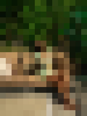 Background image - blurred