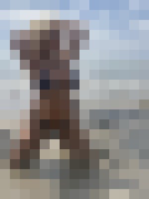 Background image - blurred