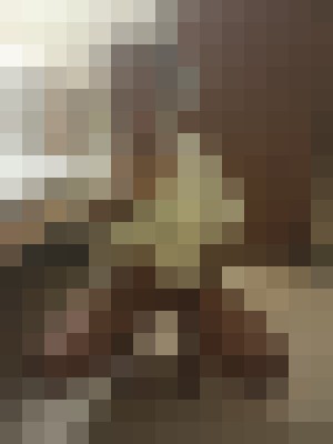 Background image - blurred