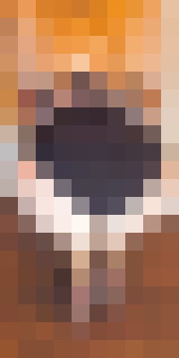 Background image - blurred