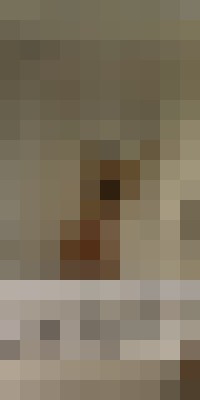 Escort-ads.com | Blurred background picture for escort Marie sexy