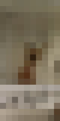Background image - blurred
