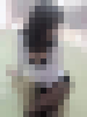 Background image - blurred