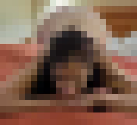 Background image - blurred