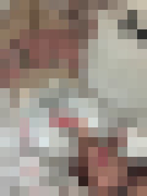 Background image - blurred