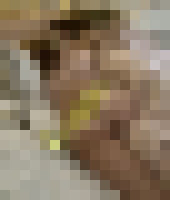 Background image - blurred